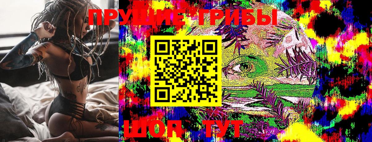 Псилоцибиновые грибы ЛСД  Вход с VPN  купить закладку  Гусь-Хрустальный 