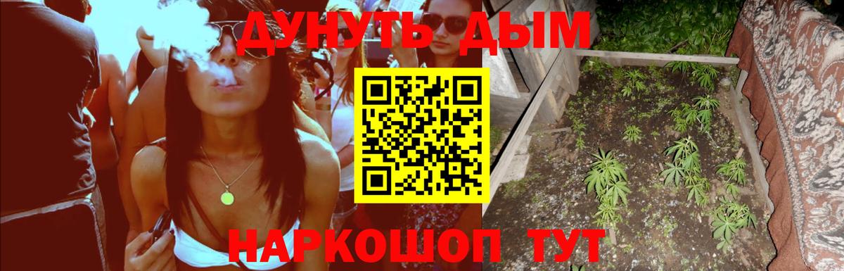 Канабис ГИДРОПОН  Вход с VPN  Гусь-Хрустальный  МАРИХУАНА сатива  Бошки марихуана сатива  Каннабис MAZAR 
